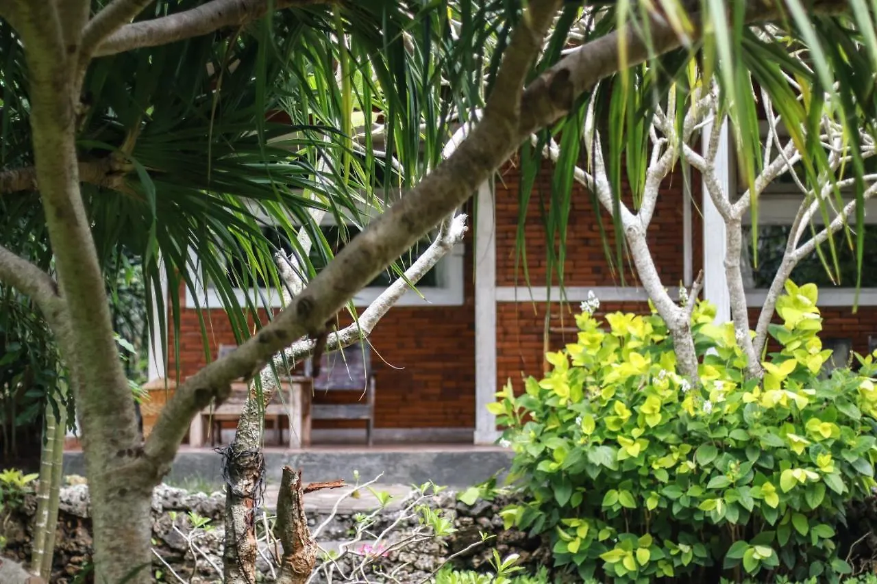 Medori Putih Homestay Uluwatu